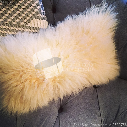 Image of Fluffy cushion on a sofa