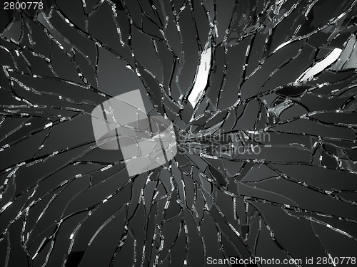 Image of Sharp Pieces of shattered black glass