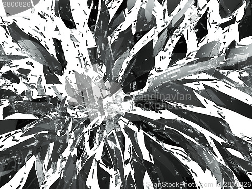 Image of Pieces of destructed Shattered glass