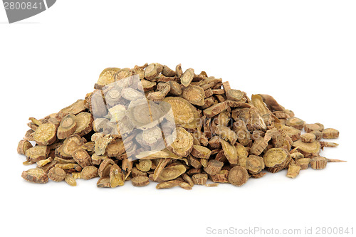 Image of Scutellaria Root