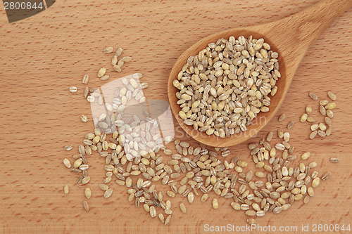 Image of Pearl Barley