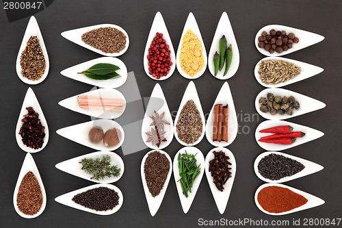 Image of Herb and Spice Collection