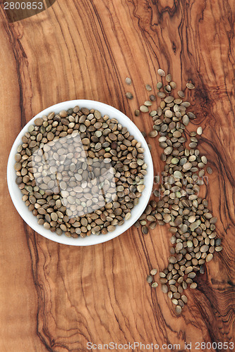 Image of Hemp Seed