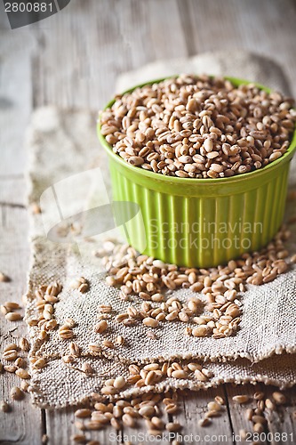 Image of wheat grain in bowl 