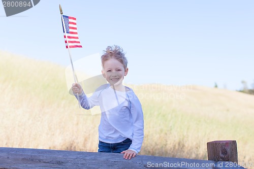 Image of boy celebrating independence day