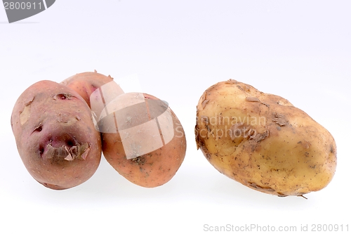 Image of Potatoes isolated on white 