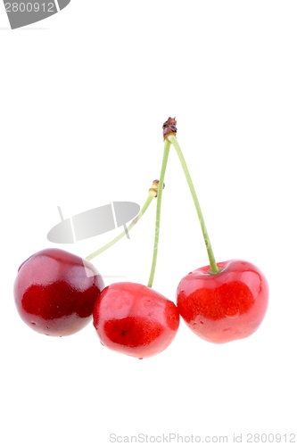 Image of Sweet cherries isolated on a white background