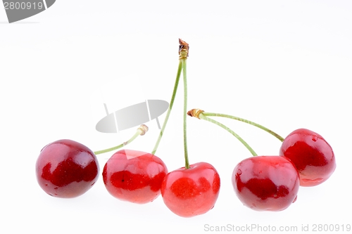 Image of Sweet cherries isolated on a white background