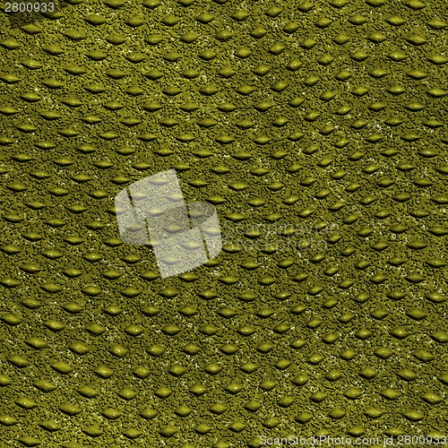 Image of Snake skin