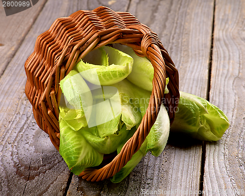 Image of Endive Leaves