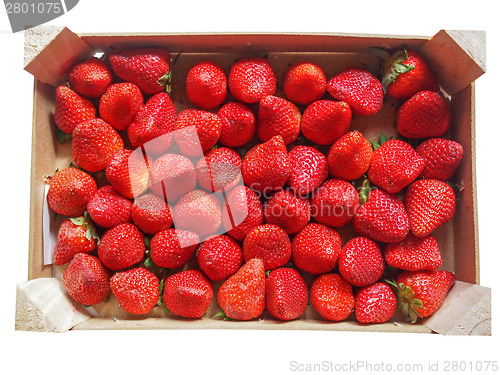 Image of Strawberries fruits