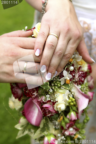 Image of Hands of a bride and groom