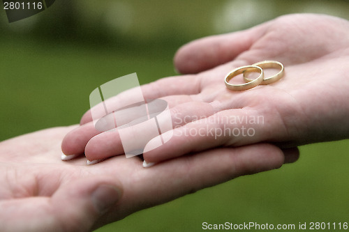 Image of Hands of a bride and groom