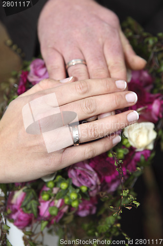 Image of Hands of a bride and groom