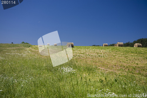 Image of sommer landscape