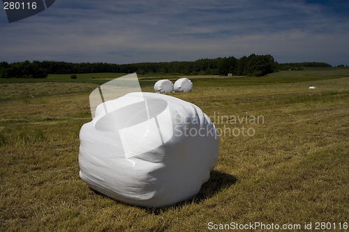Image of sommer landscape