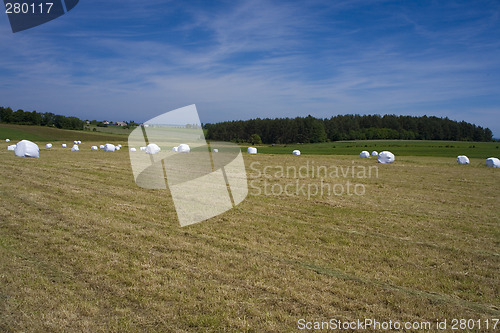 Image of sommer landscape
