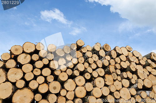 Image of pile of cut logs on blue sky background 