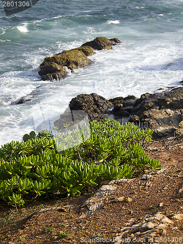 Image of Beautiful landscape in Sri Lanka