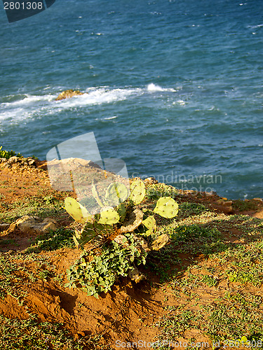 Image of Beautiful landscape in Sri Lanka