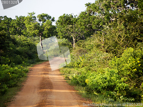 Image of Bundala National Park in Sri Lanka