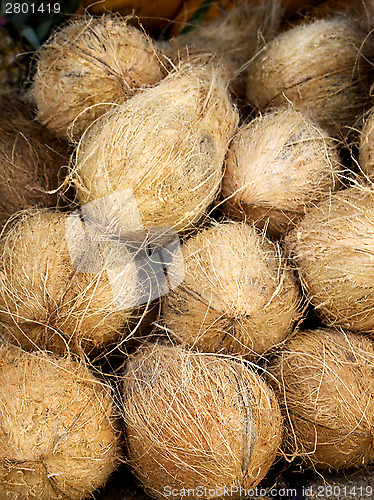 Image of Coconuts on the market