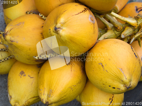 Image of Coconuts on the market