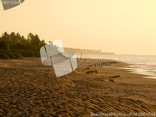 Image of Sunrise at the beach