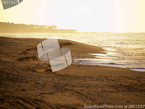 Image of Sunrise at the beach