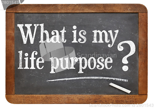 Image of What is your life purpose question