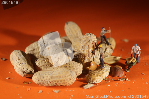 Image of Plastic People Working on Peanuts