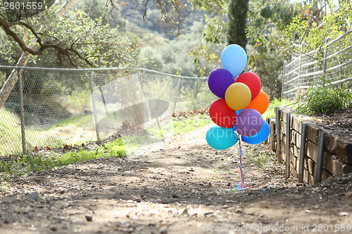 Image of Balloons Outdoors at a Celebration with Copy Space