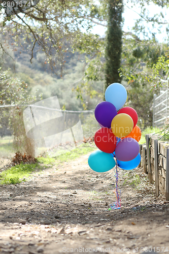 Image of Balloons Outdoors at a Celebration with Copy Space