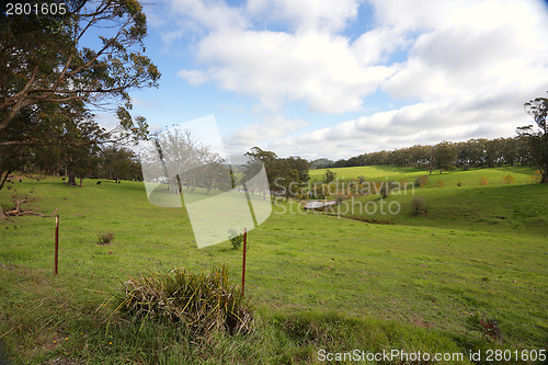 Image of Rolling hills and cattle grazing Southern Highlands Australia