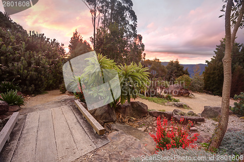 Image of Blue Mountains NSW Australia