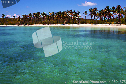 Image of  and rock in the  blue lagoon relax  of isla contoy  mexico