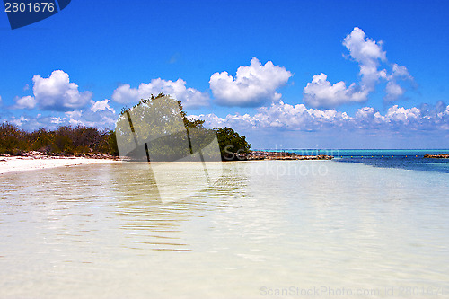 Image of coastline and   lagoon relax    isla contoy  mexico