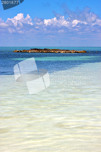 Image of coastline and rock  the  blue lagoon relax  isla contoy  mexico