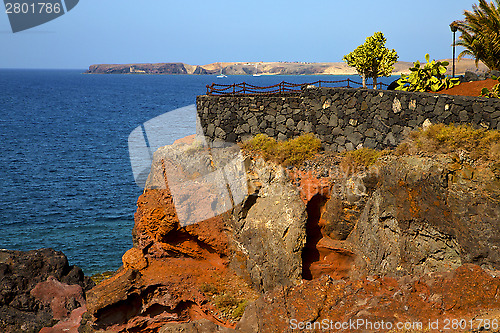 Image of street lamp bush  rock   lanzarote spain