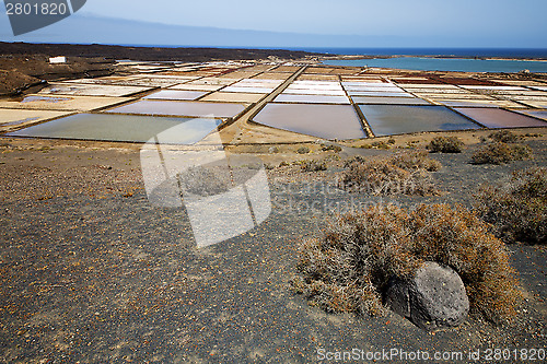 Image of salt in  lanzarote spain musk  c and summer 