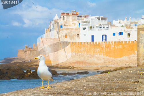 Image of Essaouira - Magador, Marrakech, Morocco.