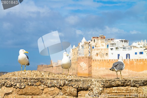 Image of Essaouira - Magador, Marrakech, Morocco.