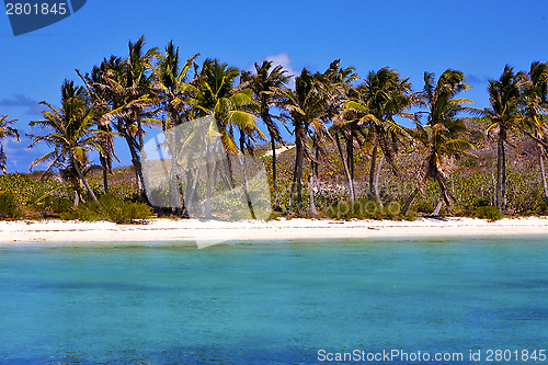 Image of coastline  rock in the  blue lagoon relax    isla contoy  mexico
