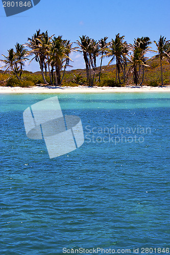 Image of coastline and   isla contoy  mexico