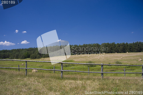 Image of sommer landscape