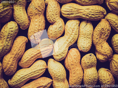 Image of Retro look Peanut picture