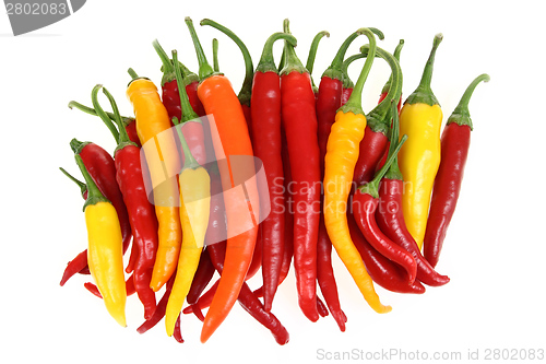 Image of Peppers