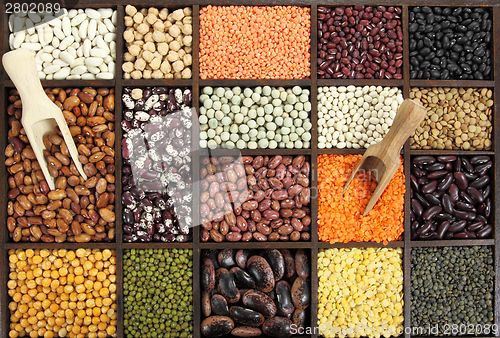 Image of Beans, peas, lentils