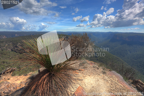Image of Buramoko Ridge Blue Mountains National Park Australia