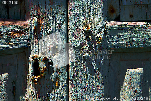 Image of spain canarias brass in a green  wood  abstract 